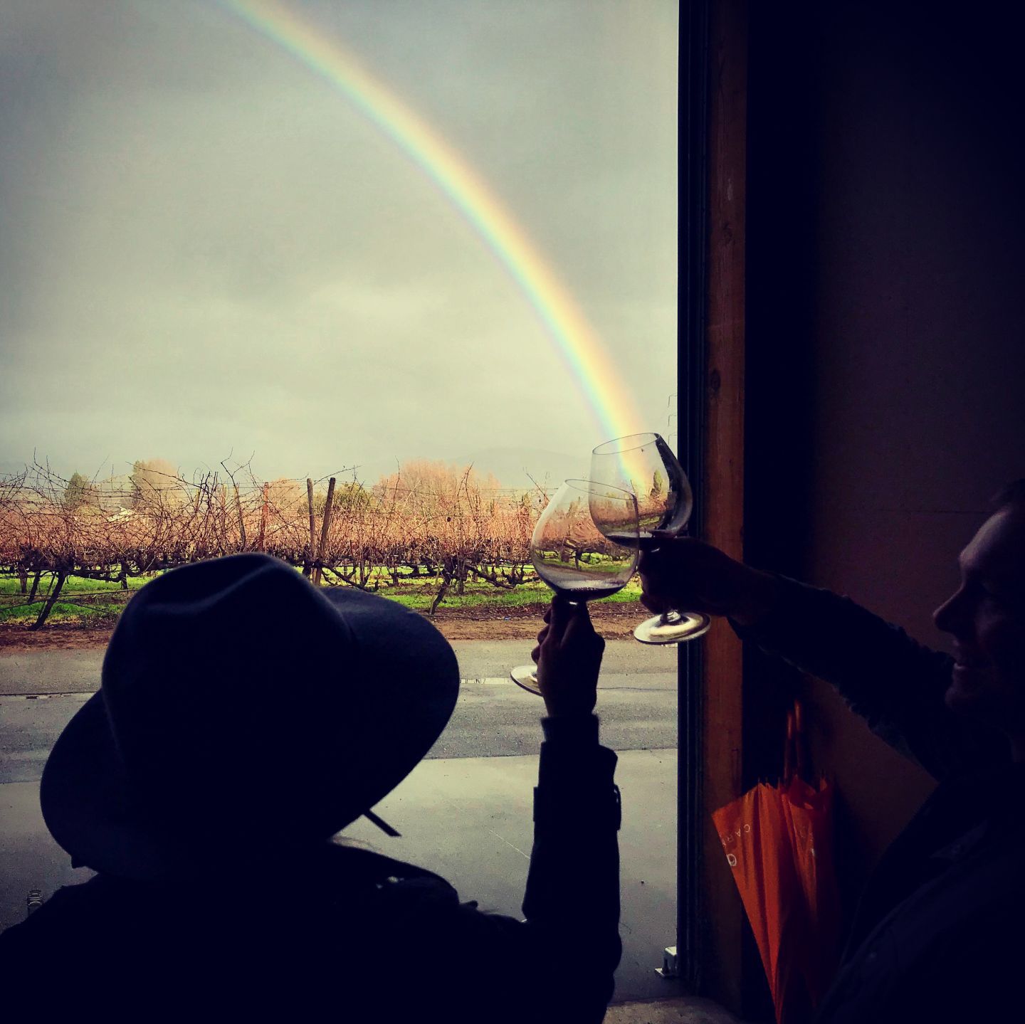 Rainbows in February